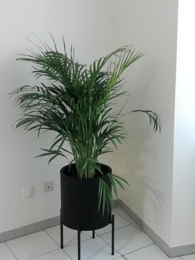 Le 39 Apartment Nimes Bagian luar foto